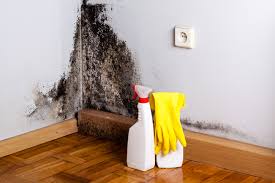 Best Forensic Mold Investigation  in USA